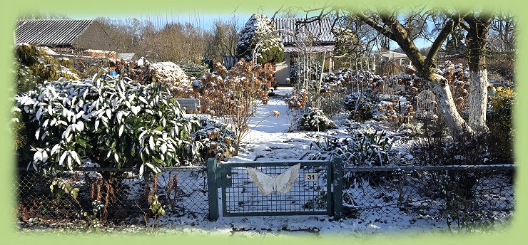 Garten 31 -- 11. Januar