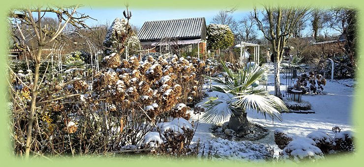 Garten 31 - 11. Januar