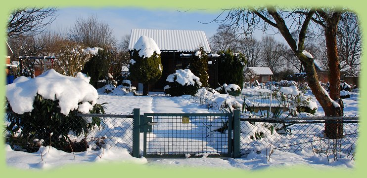 Garten 31 - 18. Jan. 2013
