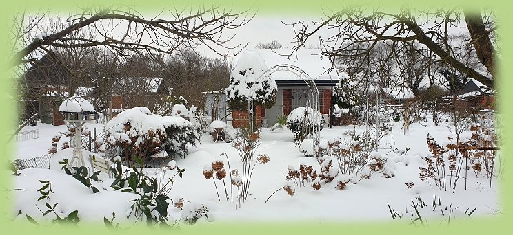 Garten_31_-_2021