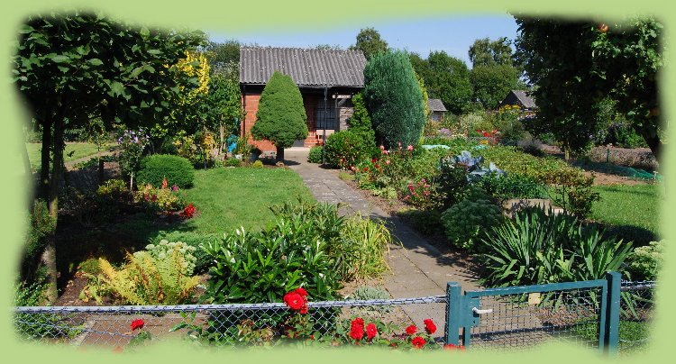 Garten 31 - August 2009