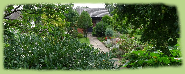 Garten 31 -  Juli