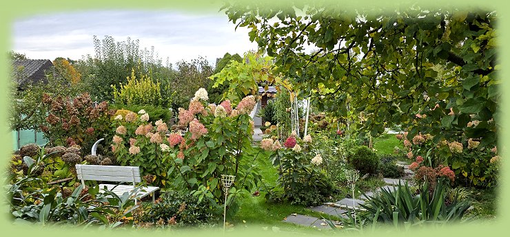 Garten 31  - Oktober 2024
