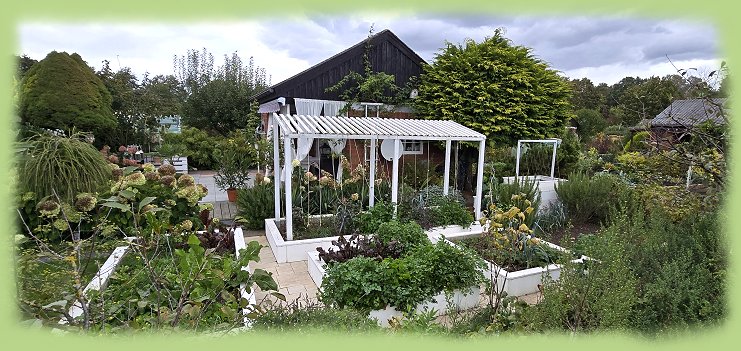 Garten 31  - September 2024