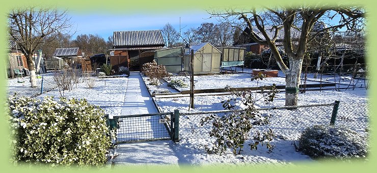 Garten 32 - 11. Januar