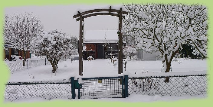 Garten 32 - 16. Jan. 2013