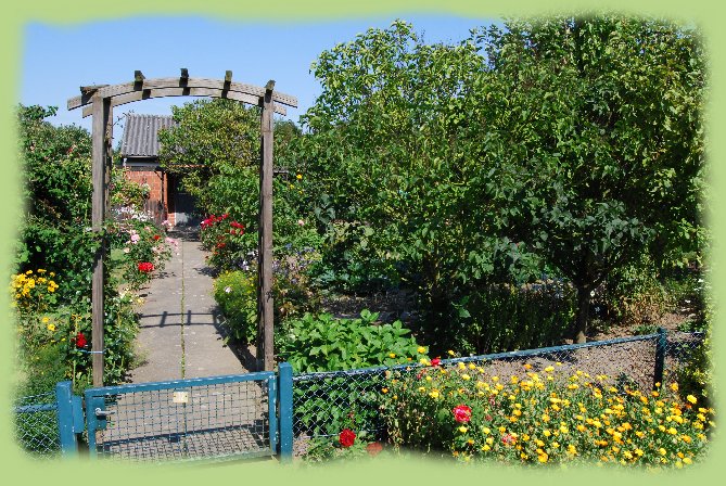 Garten 32 - August 2009