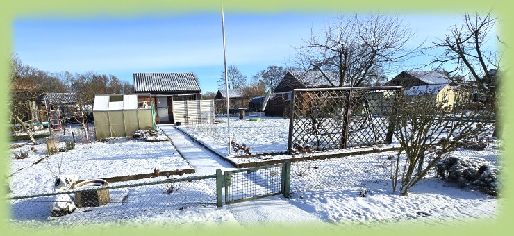 Garten 33 - 11. Januar