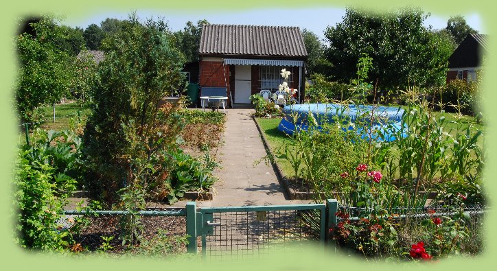 Garten 33 - August 2009