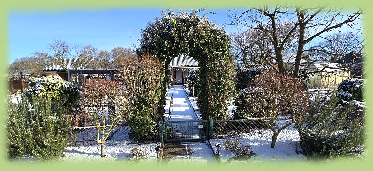 Garten 34 - 11. Januar