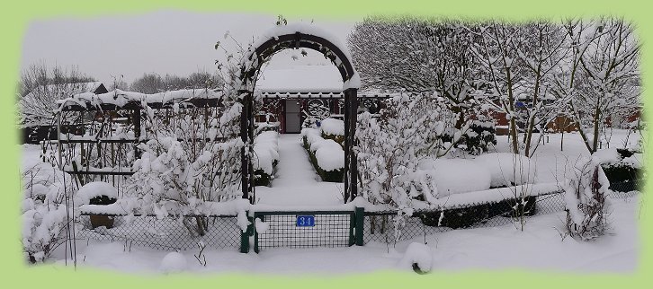 Garten 34 - 16. Jan. 2013