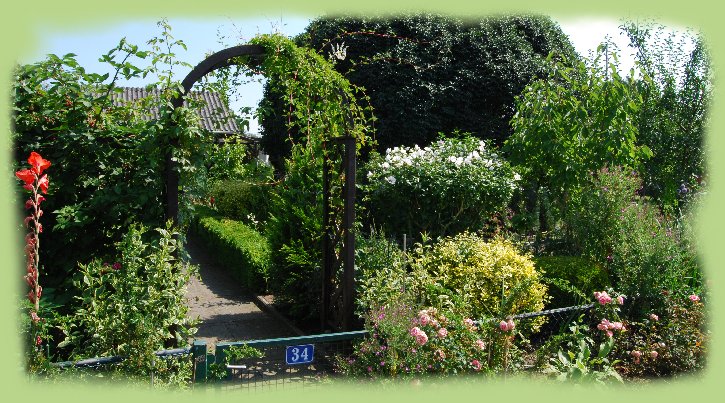 Garten 34 - August 2009