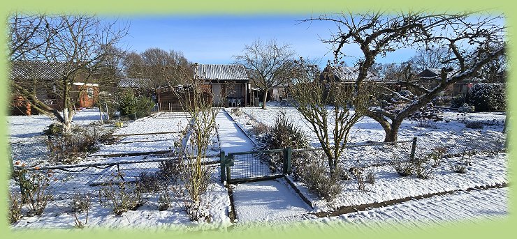 Garten 35 - 11. Januar