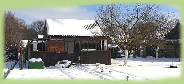 Garten_35_-_2021