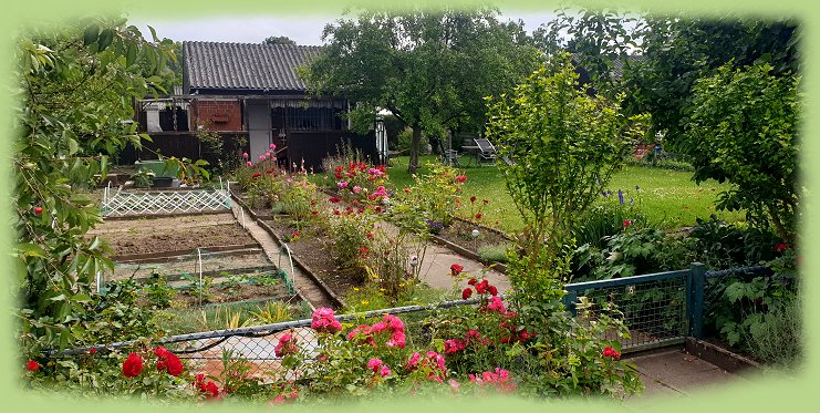 Garten 35 - 2024