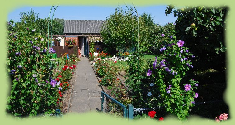 Garten 35 - August 2009