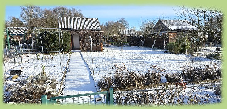 Garten 36 - 11. Januar