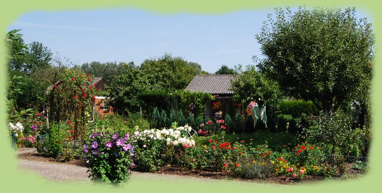 Garten 36 - August 2009