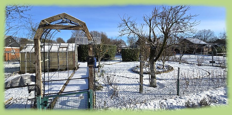 Garten 37 - 11. Januar