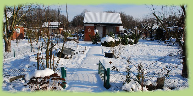 Garten 37 - 18. Jan. 2013