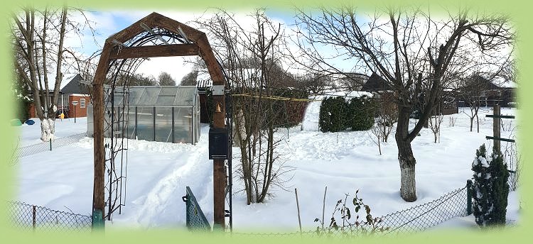 Garten_37_-_2021