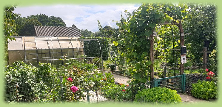 Garten 37  - Juni 2024