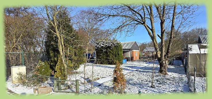 Garten 38 - 11. Januar