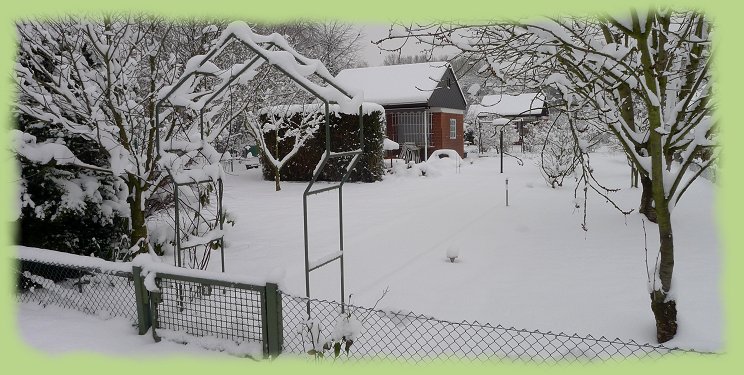 Garten 38 - 16. Jan. 2013