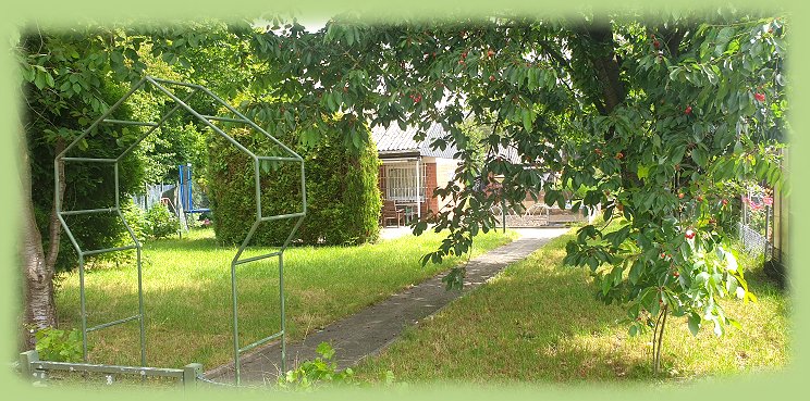 Garten 38  - Juni 2024
