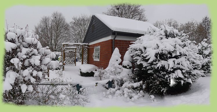 Garten 39 - 16. Jan. 2013