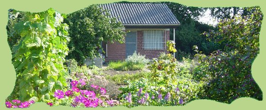 Garten 4