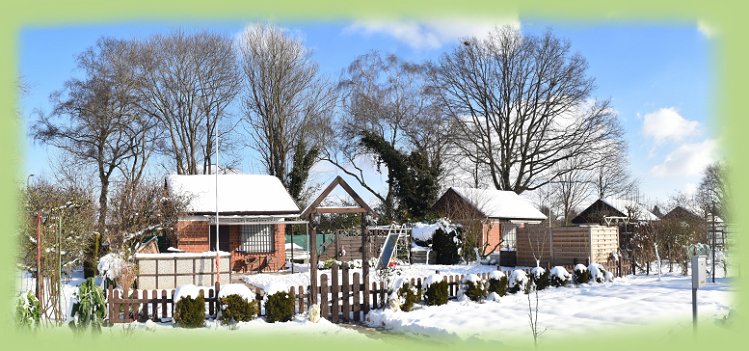 Garten_4_-_2021