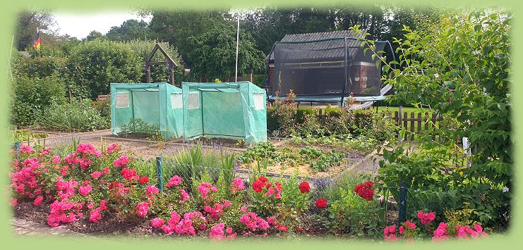 Garten 4 - 2024