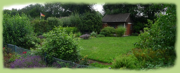 Garten 4 -  Juli