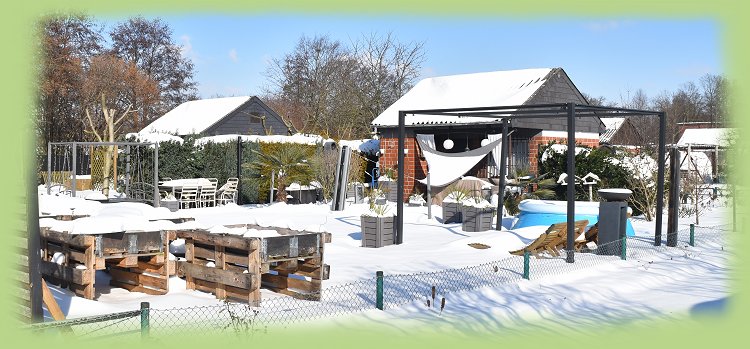 Garten_40_-_2021