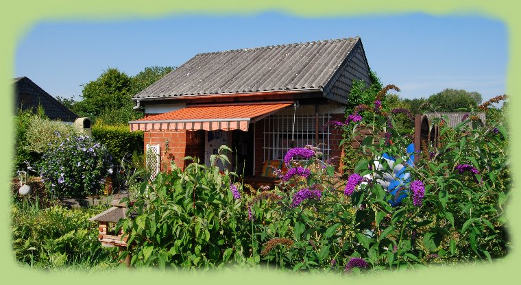 Garten 40 - August 2009