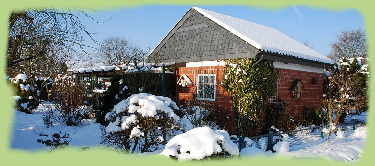 Garten 41 - 18. Jan. 2013