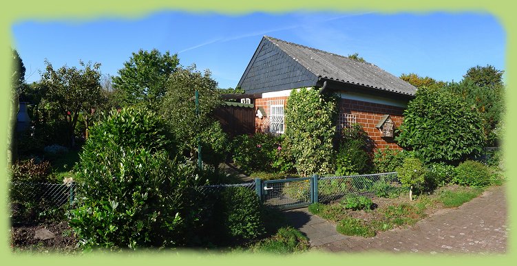 Garten 41 - Sept.