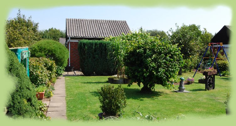 Garten 42 - August 2009