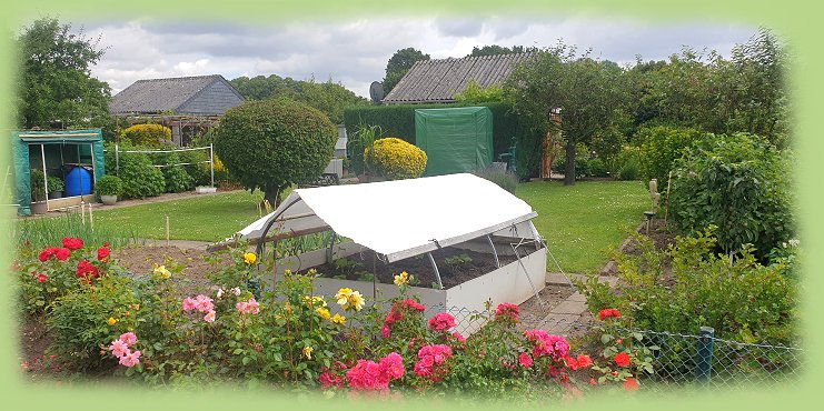 Garten 42  - Juni 2024