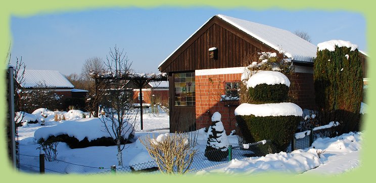 Garten 43 - 18. Jan. 2013