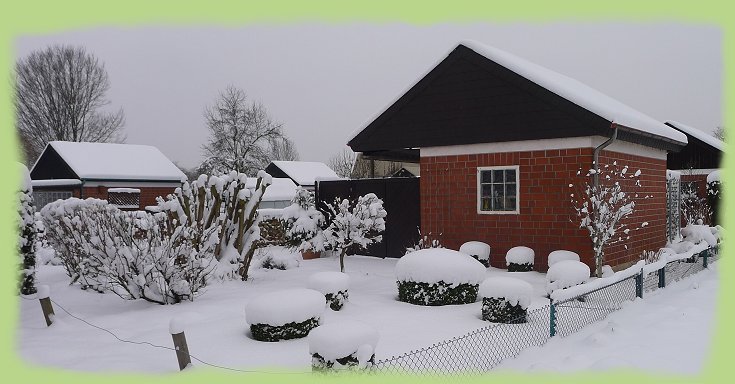 Garten 44 - 16. Jan. 2013