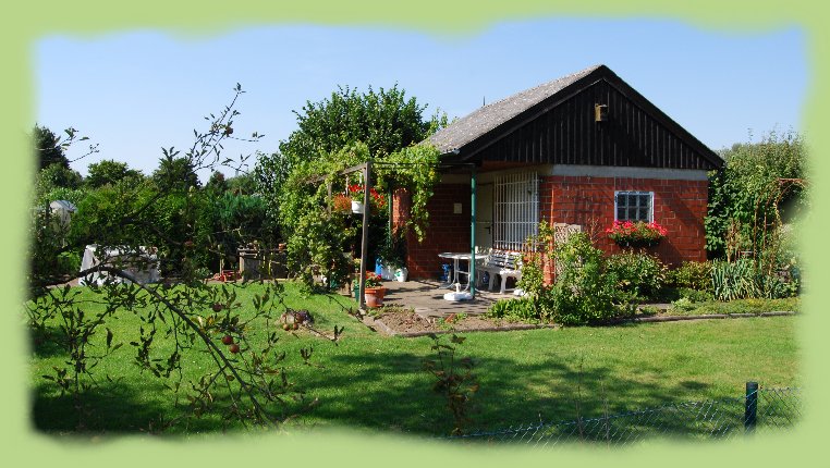 Garten 45 - August 2009