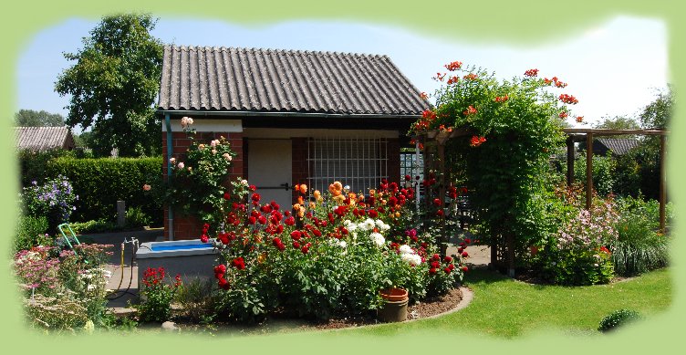 Garten 46 - August 2009