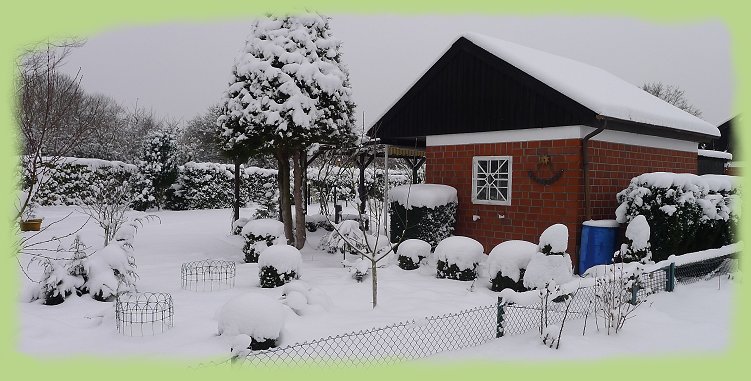 Garten 47 - 16. Jan. 2013