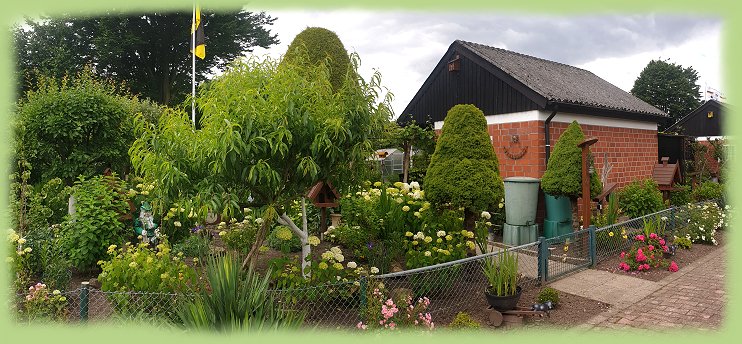 Garten 47 - 2024