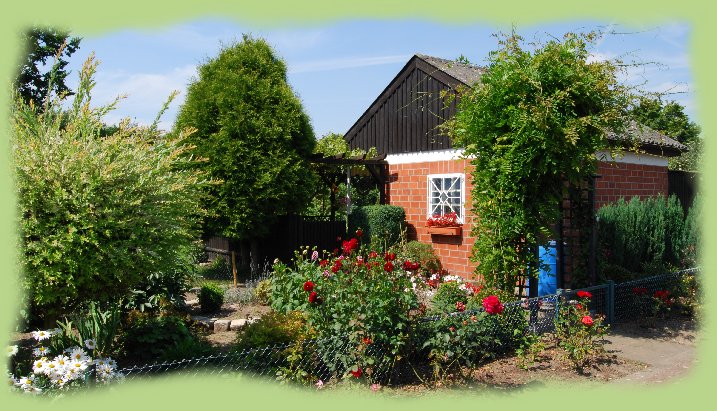Garten 47 - August 2009