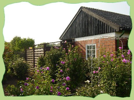 48-2006