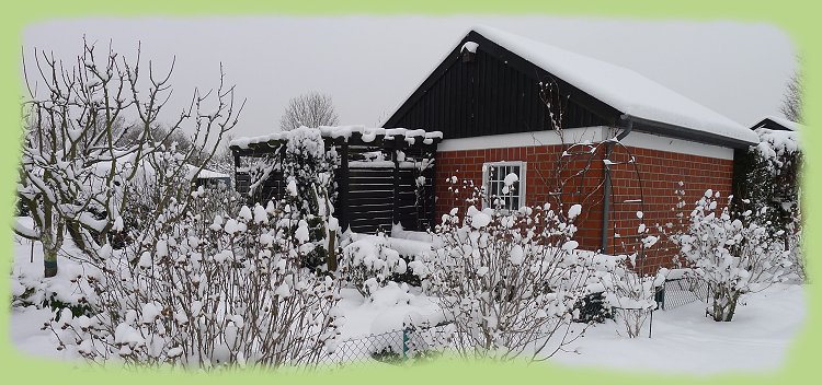 Garten 48 - 16. Jan. 2013