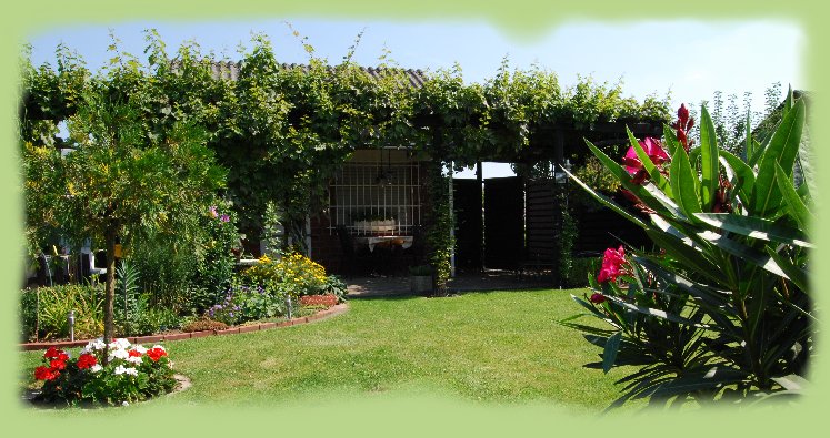 Garten 48 - August 2009